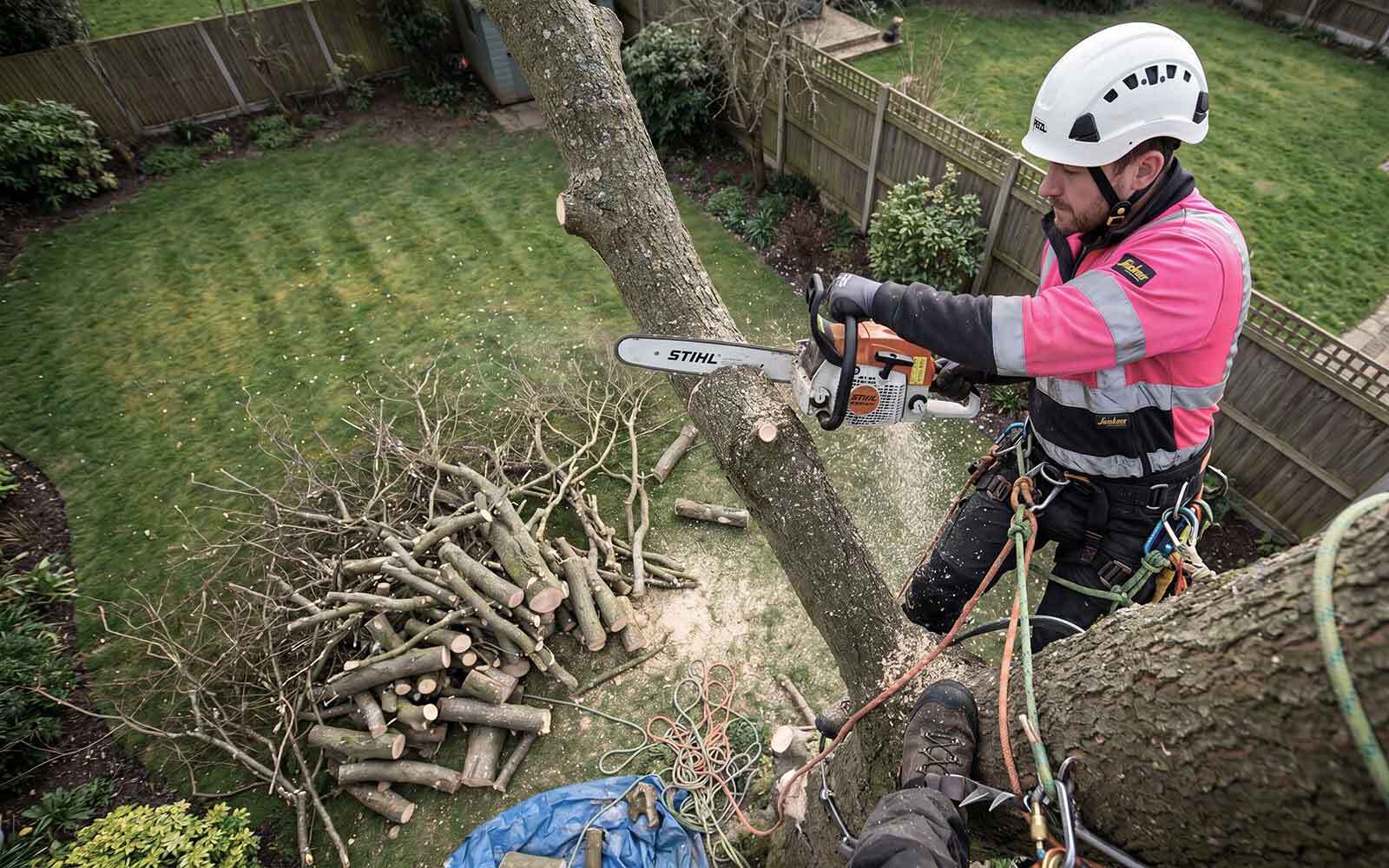 ELT Tree Surgery Work
